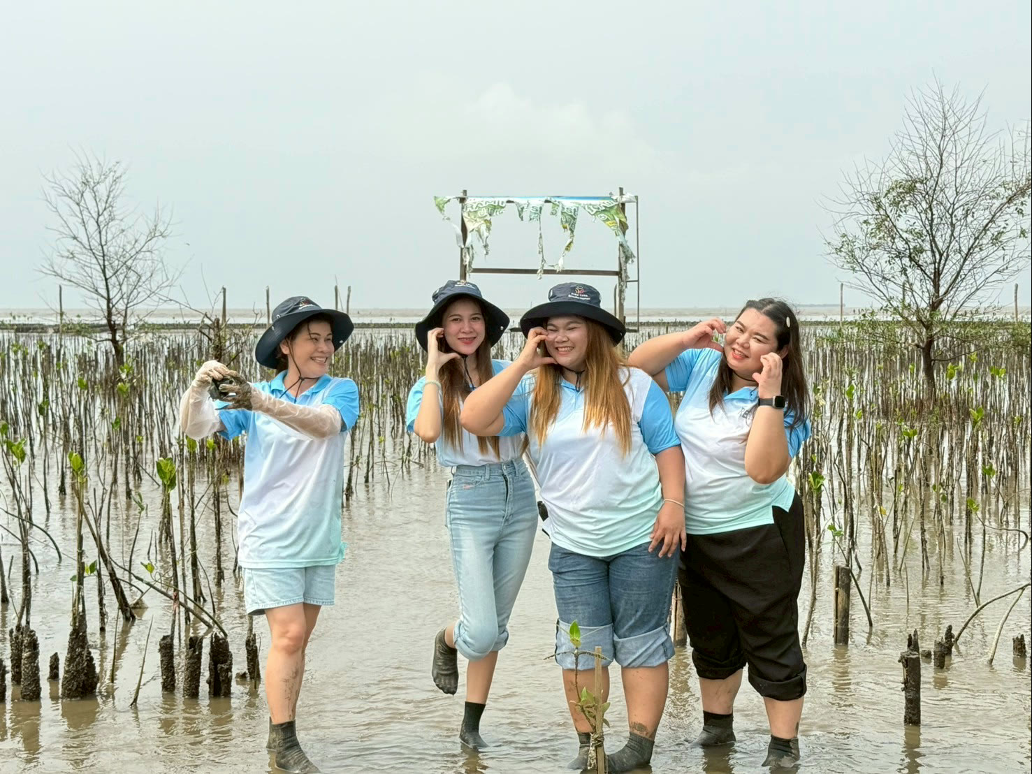 NIRU colleagues planting mangrove saplings on the shoreline