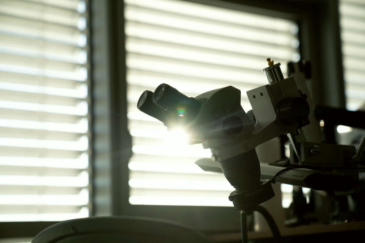 A microscope backlit on the manufacturing floor